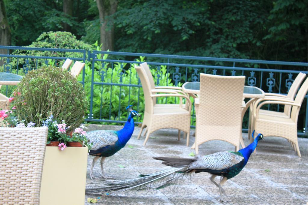 Akzent Hotel Hoxberg Beckum Ngoại thất bức ảnh